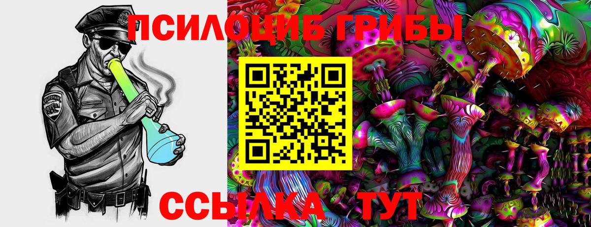 Кандалакша  Галлюциногенные грибы Cubensis  Вход с VPN 