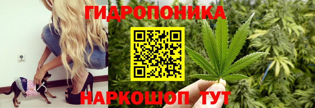 Бошки Шишки SATIVA & INDICA  Шишки марихуана ГИДРОПОН  МАРИХУАНА LSD WEED  Кандалакша  Конопля THC 21%  Вход с VPN 